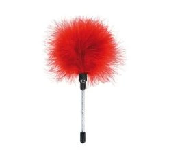 Plumeau En Plume De Dinde Idéal Pour Stimuler Les Zones érogènes